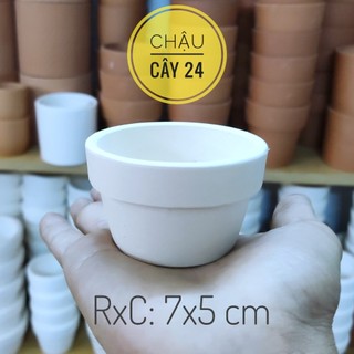 Chậu cây mini trồng sen đá, chậu đất nung mini