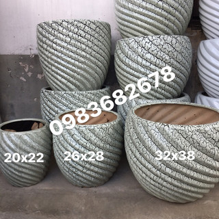 Chậu xoắn trồng cây cảnh, hoa lan, kim tiền
