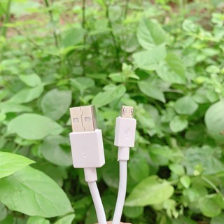 CÁP SẠC OPPO Micro USB CHÍNH HÃNG ( Bảo Hành 12 Tháng )- dây đẹp