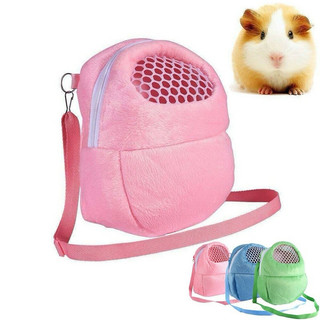 Túi xách vải có dây đeo dùng vận chuyển pet