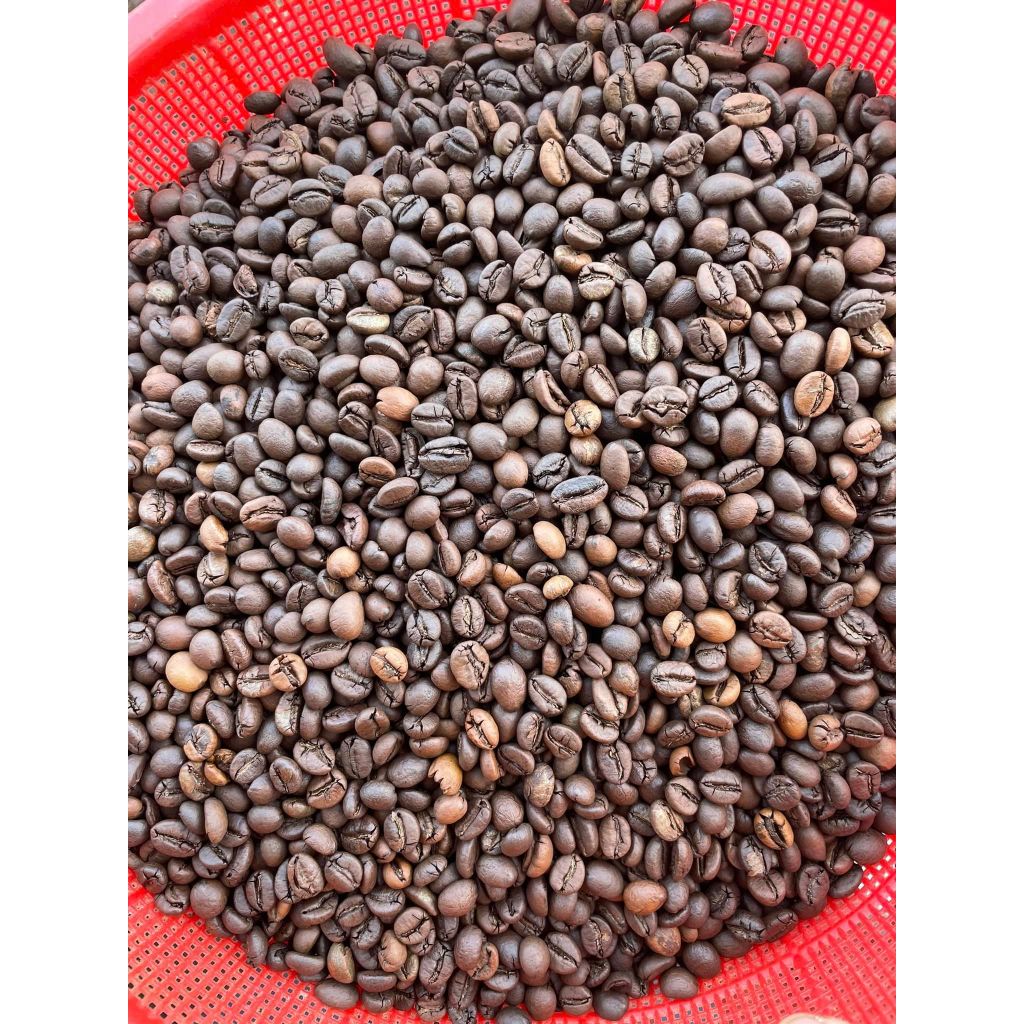 "1kg Cà phê nhân xanh s14 s16 ROBUSTA Gia Lai '' Chế biến Khô  ''