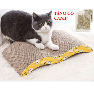 Bàn cào móng cho mèo carton - đồ chơi cho mèo - ngôi nhà thú cưng