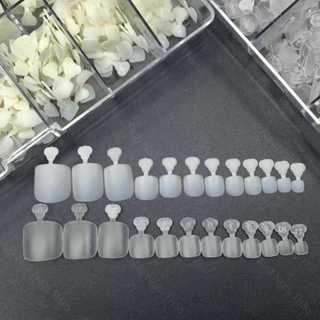  Móng úp chân ngắn 