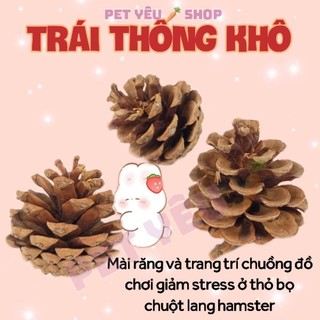  Trái thông khô  1 trái  🐻FREESHIP🐻 mài răng và trang trí chuồng thỏ bọ chuột lang hamster 