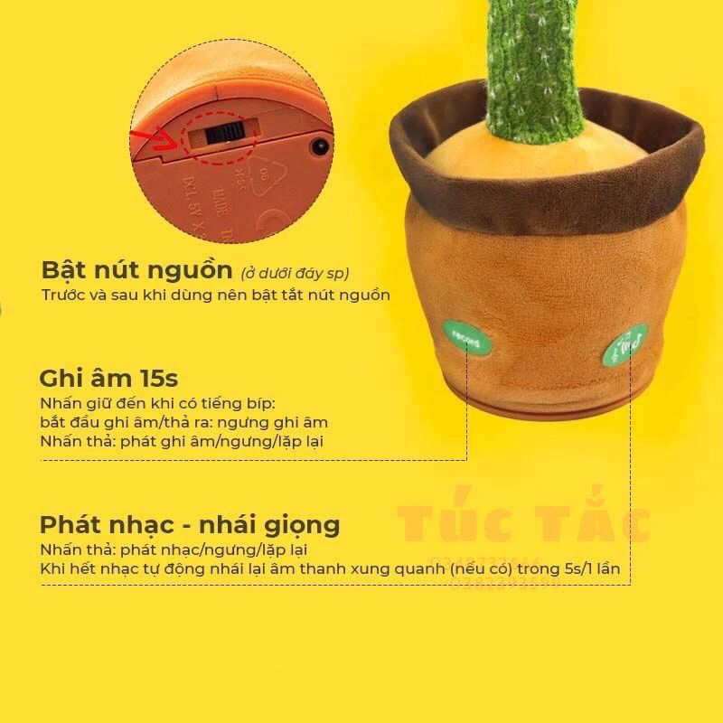 Cây xương rồng hát nhảy múa nhại giọng nói vui nhộn