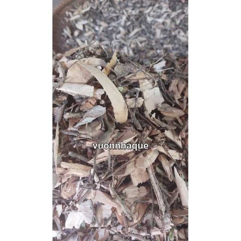 Cây bùm sụm khô