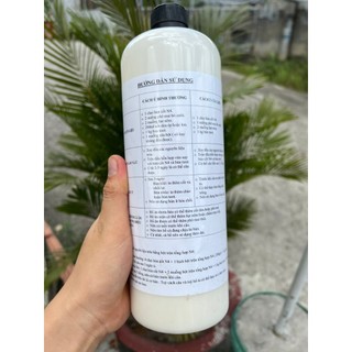 BÚN CỐT N4 CHUYÊN  CÂU CÁ TRA