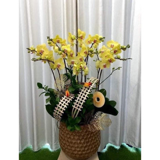 tấm tre đan trang trí decor