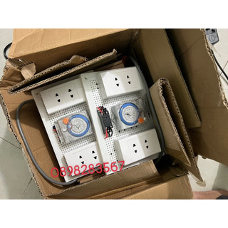 Timer ở đảo ngày đêm nhà yến