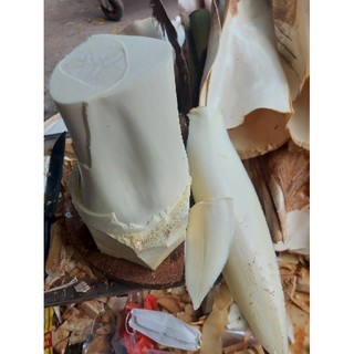 (Hỏa tốc TPHCM 2kg) Củ hủ dừa Bến Tre - 2kg
