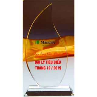 Pha lê, kỷ niệm chương ngọn lửa (in theo yêu cầu)