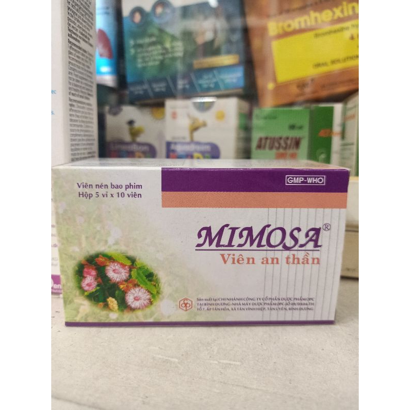 mimosa mất ngủ