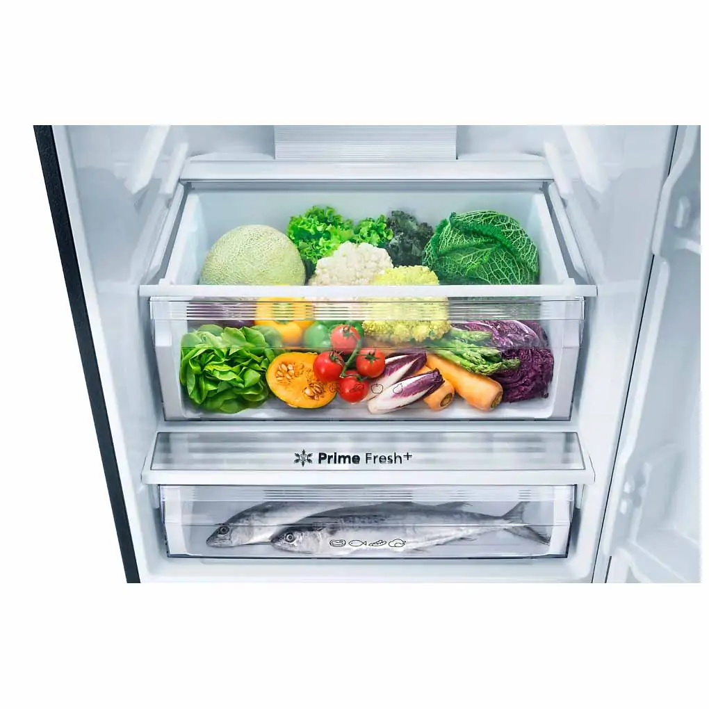 TỦ LẠNH PANASONIC INVERTER 420 LÍT NR-BX471XGKV 2023