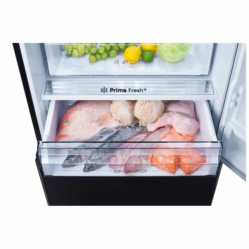 TỦ LẠNH PANASONIC INVERTER 420 LÍT NR-BX471XGKV 2023