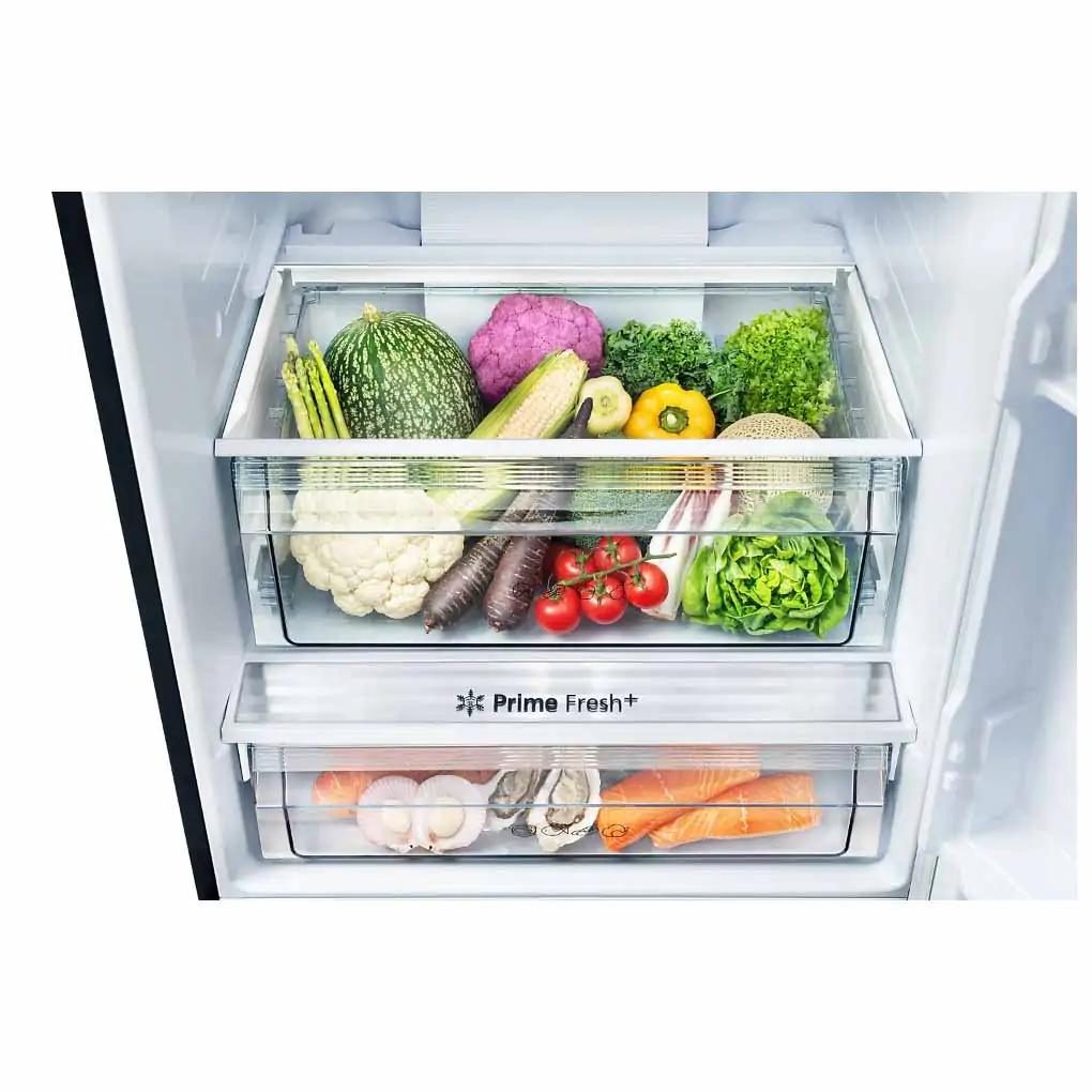 TỦ LẠNH PANASONIC INVERTER 420 LÍT NR-BX471XGKV 2023