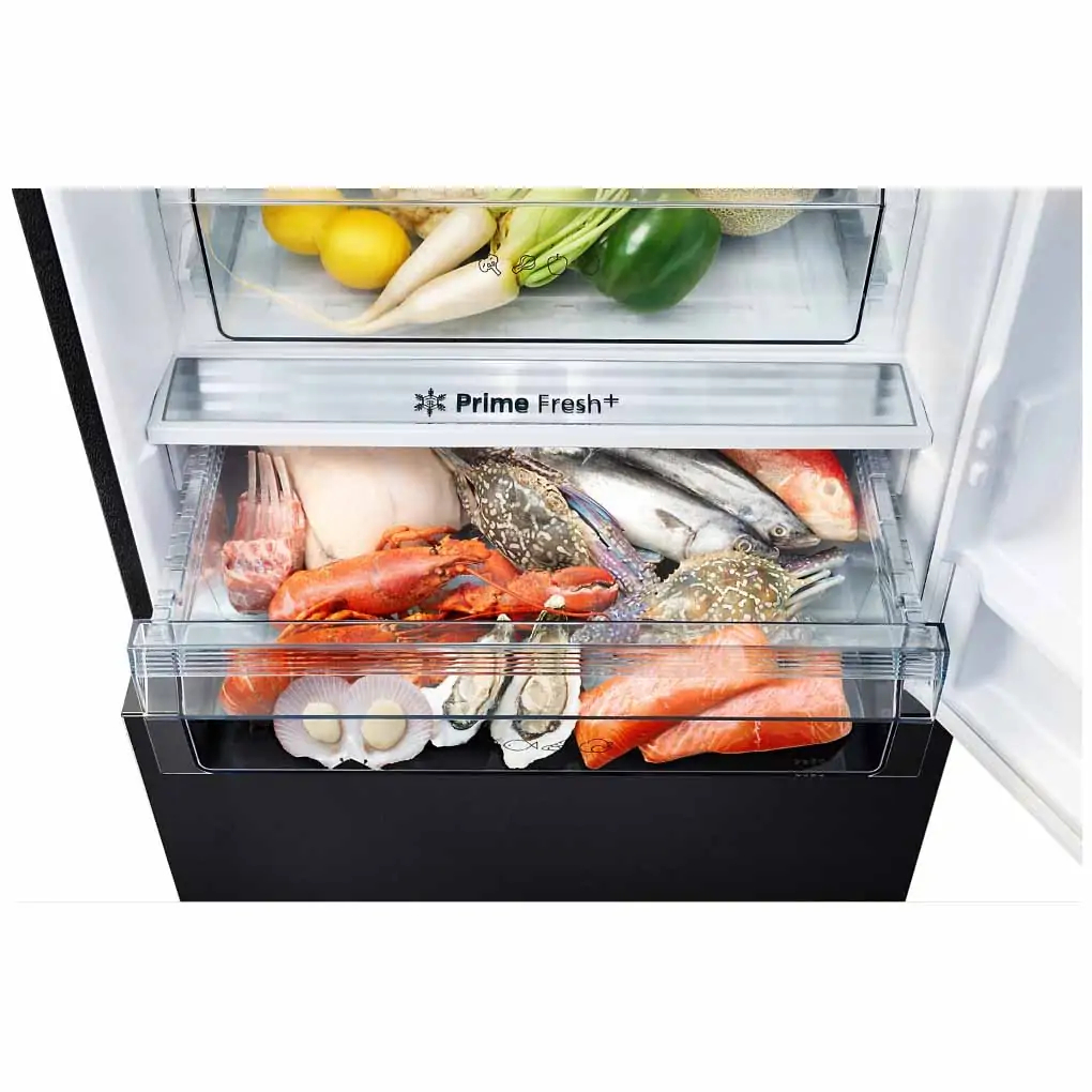 TỦ LẠNH PANASONIC INVERTER 420 LÍT NR-BX471XGKV 2023