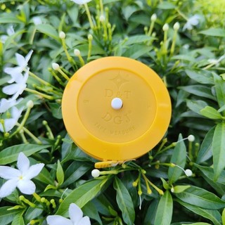 Thước dây D&T