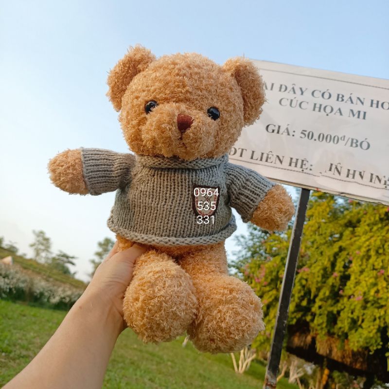 💖 Gấu tedy áo len 30cm( màu trắng, nâu)💖