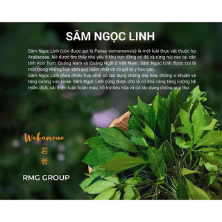 Trà sâm Ngọc linh
