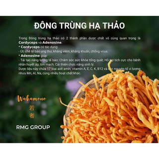 Trà sâm Ngọc linh