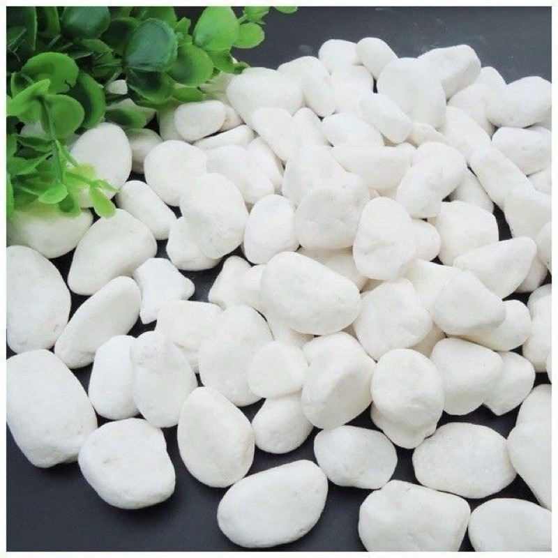Đá sỏi trắng nhiều cỡ trang trí hồ cá, chậu cây tết, chậu cây cảnh, trồng sen đá. trải nền sân vườn.
