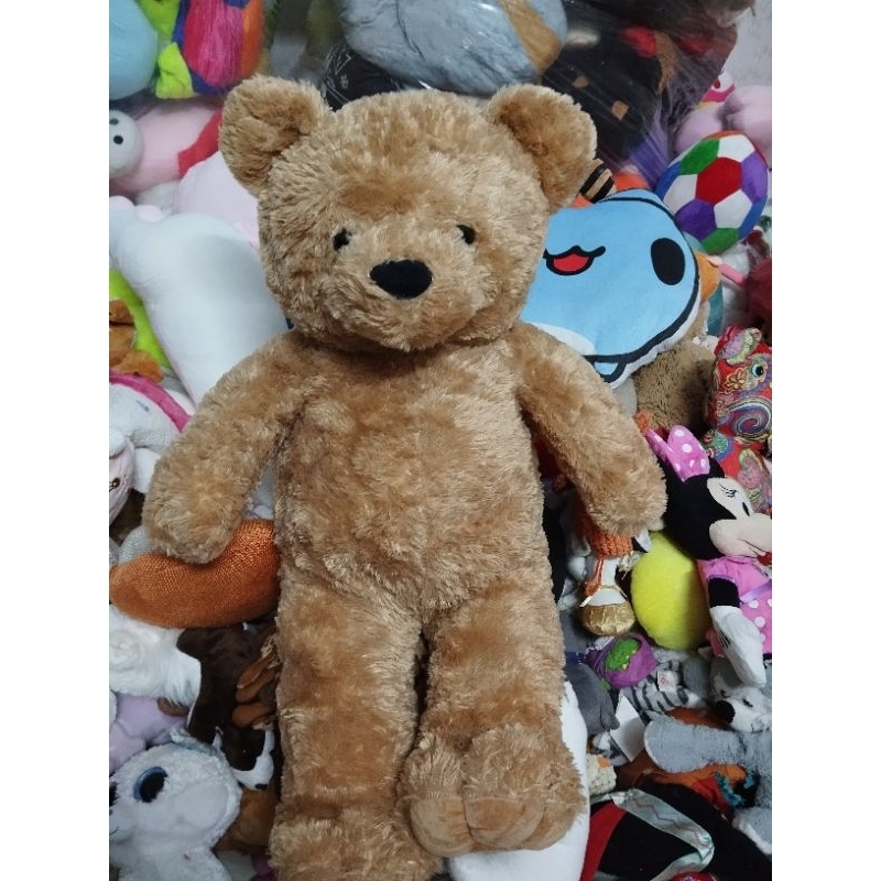 Gấu bông teddy size 60-65cm
