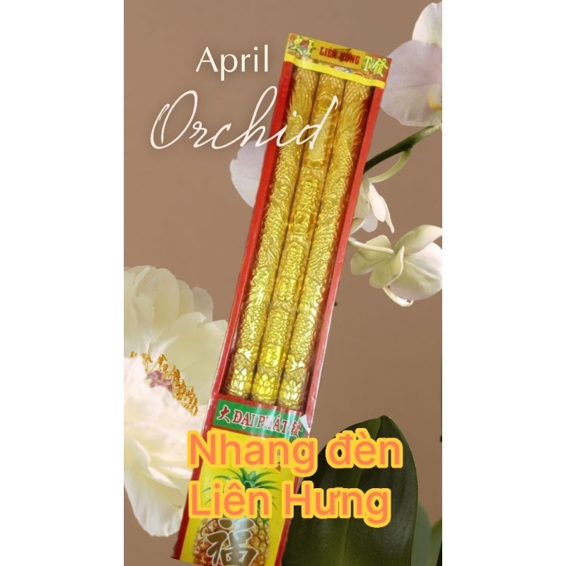 Nhang chạm rồng 3 cây mini 27cm