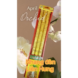 Nhang chạm rồng 3 cây mini 27cm