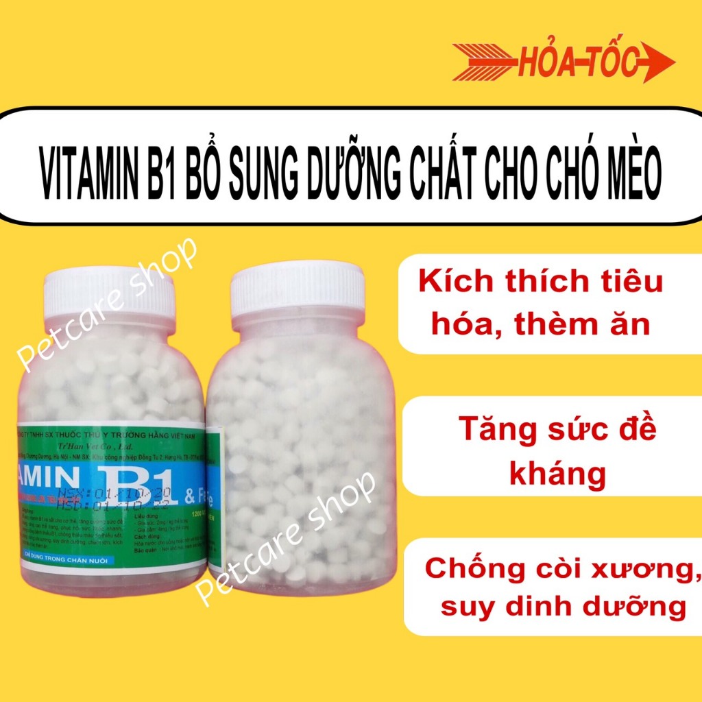 Vitamin B1 (1200 viên) Hỗ Trợ Tiêu Hoá, Kích Thích Ăn Ngon, Tăng Cân, Chống Biếng Ăn Cho Chó Mèo, Gia Súc