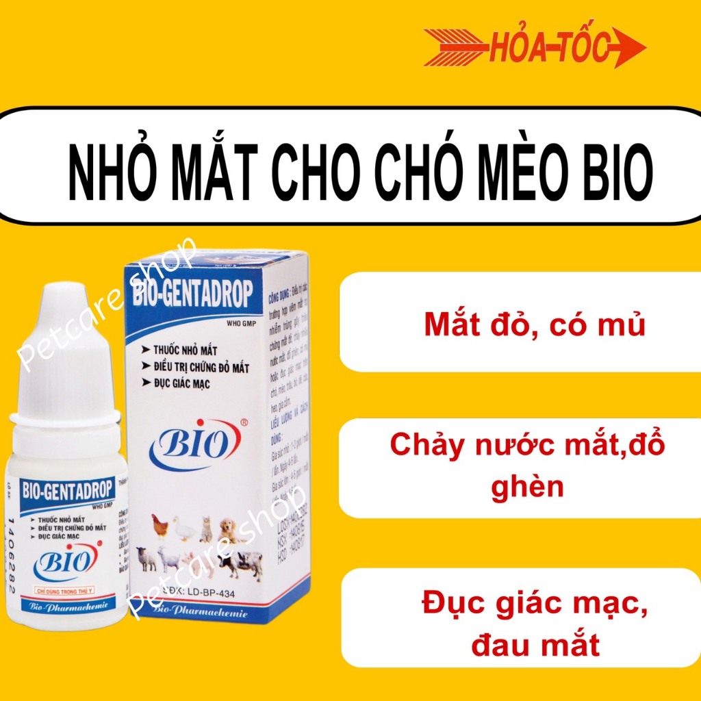 Nhỏ mắt trị đau mắt, đổ ghèn, viêm tuyến lệ chó mèo Bio