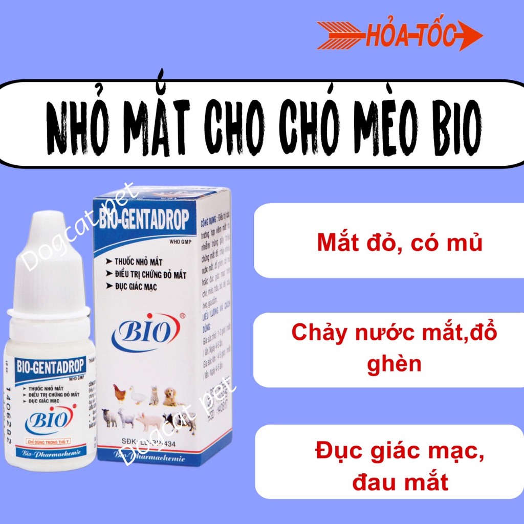 Thuốc trị chảy nước mắt, đổ ghèn, đục giác mạc chó mèo