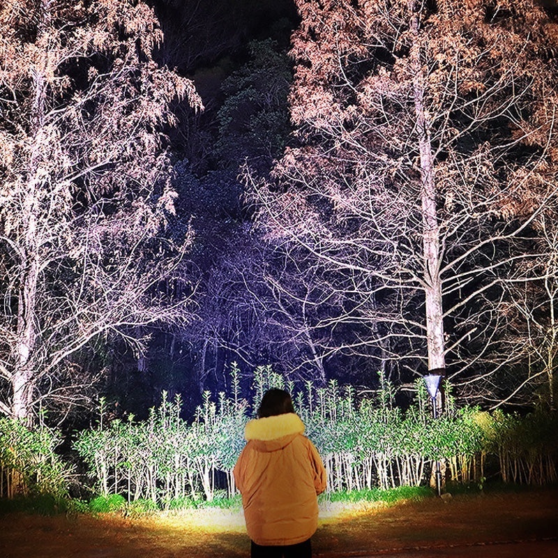 Đền pin đội đầu siêu sáng T998 pin trâu