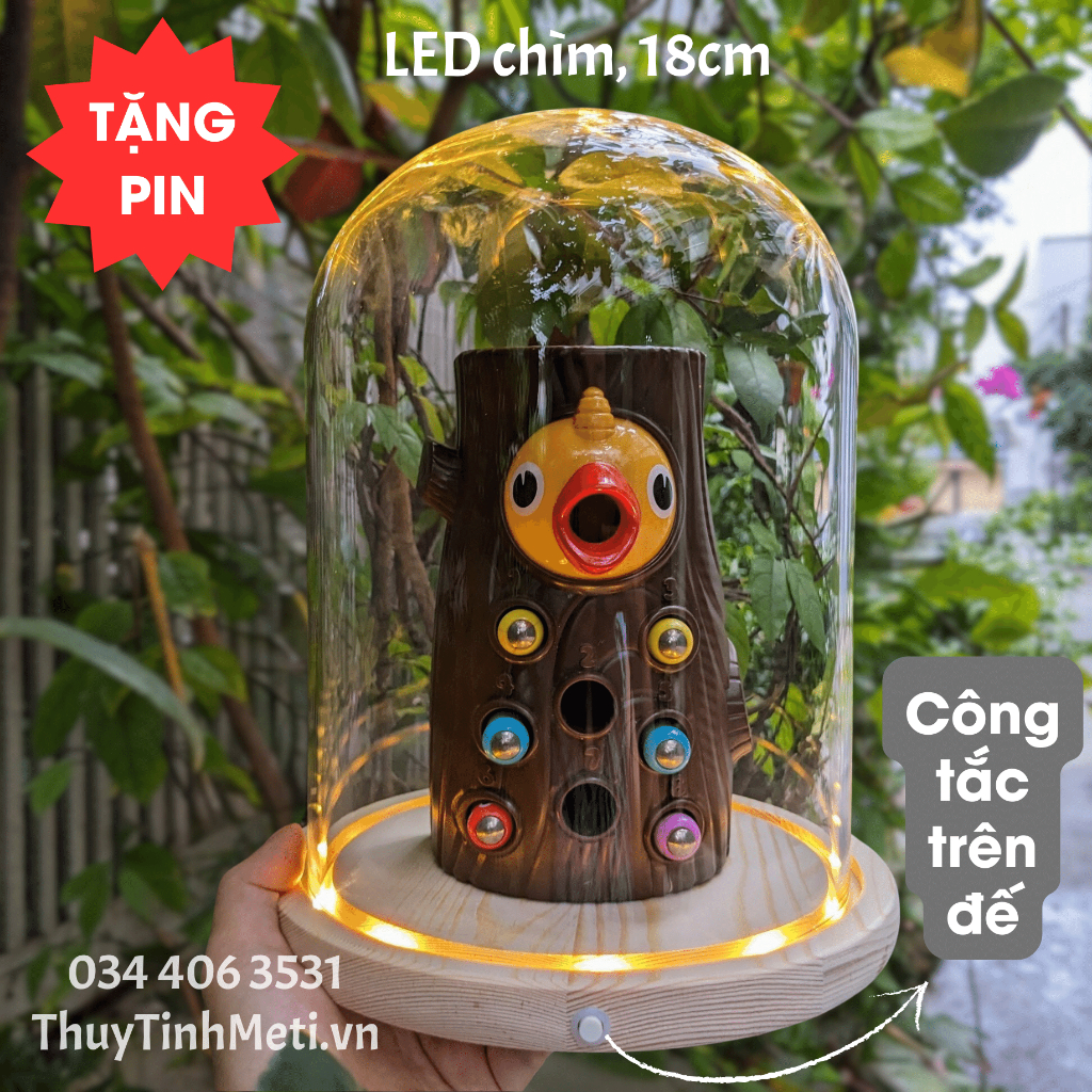 Chụp thủy tinh đế gỗ đèn LED chìm, đường kính 18cm, công tắc trên đế, tặng kèm pin