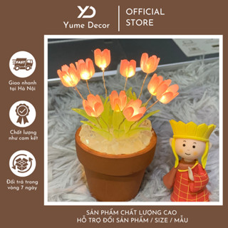 [ Làm sẵn ] Chậu Đèn Ngủ Hoa tulip Phát Sáng DIY 10 Bông - Decor Bàn Học Và Làm Việc - Quà Tặng Ý Nghĩa YUME516