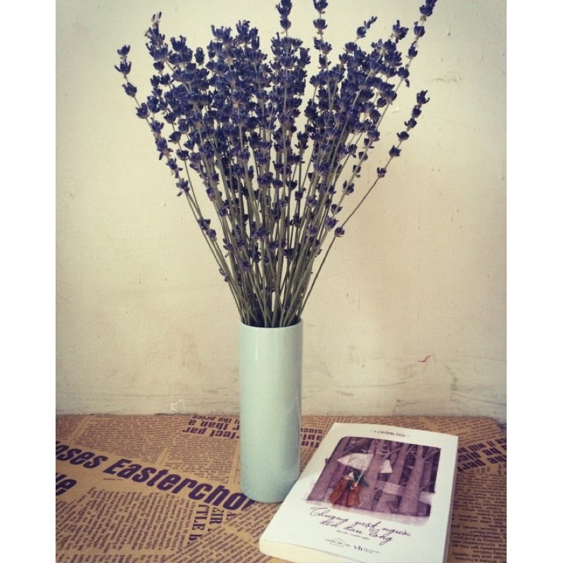 ( Bán lẻ ) 1 Nhánh hoa Lavender