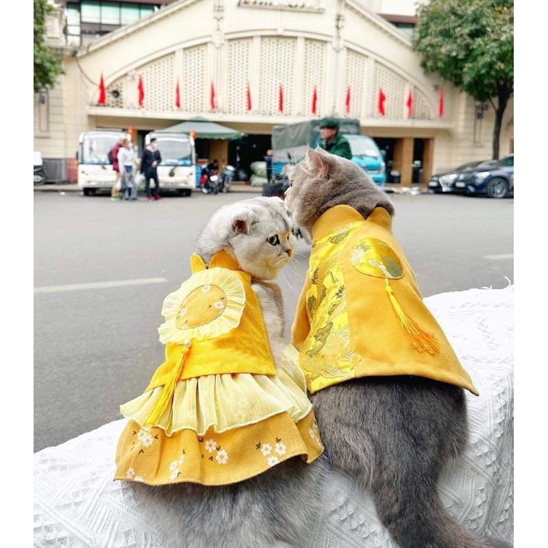 Váy Tết 🧧 Váy gấm cao cấp cho thú cưng