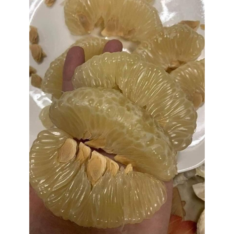 Bưởi diễn lâu năm