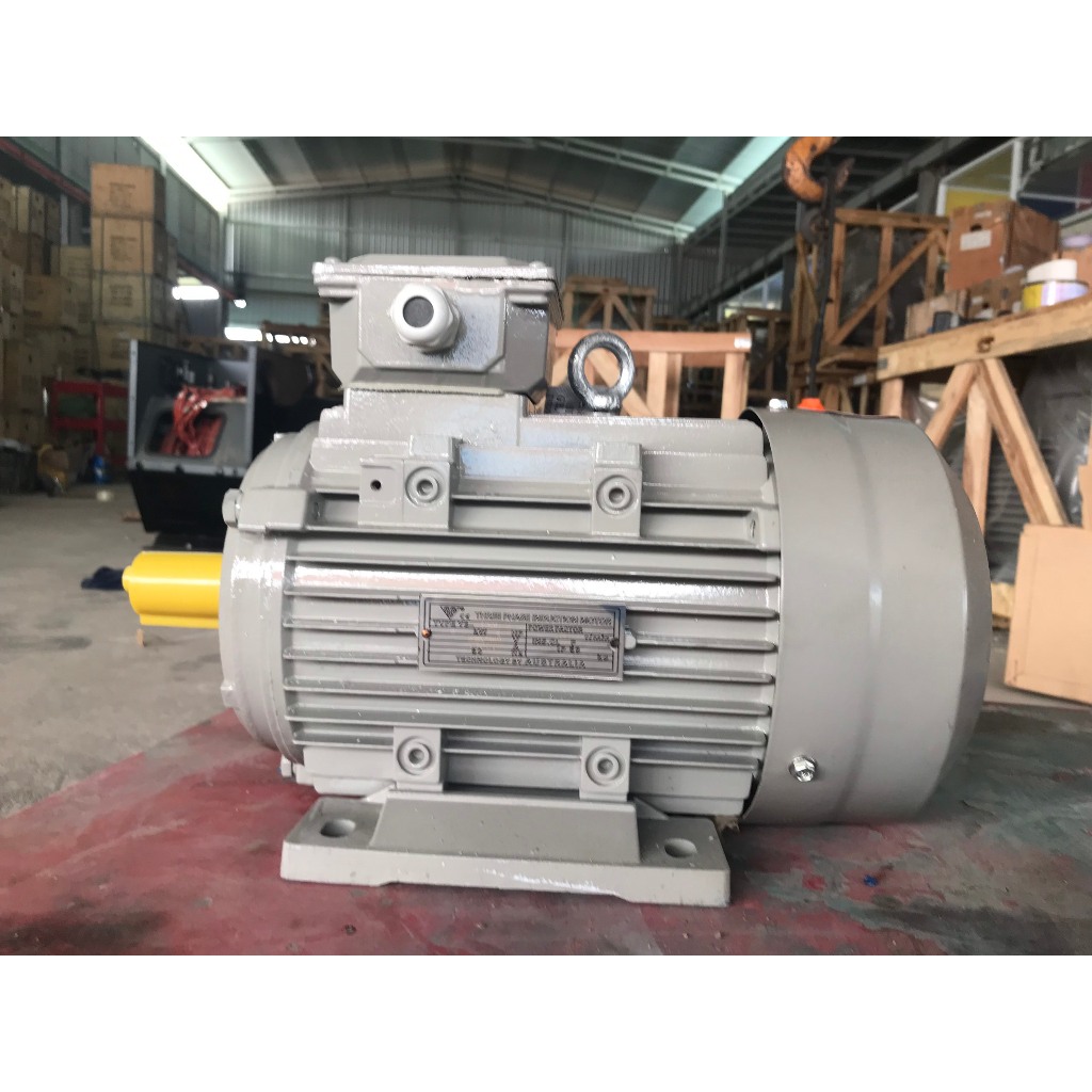 Động cơ mô tơ 3 pha 3kW - 4 ngựa  - mô tơ chuẩn công nghệ Đức