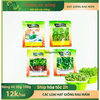 Các loại hạt giống rau mầm ngắn ngày 5-7 ngày thu hoạch nhiều dinh dưỡng