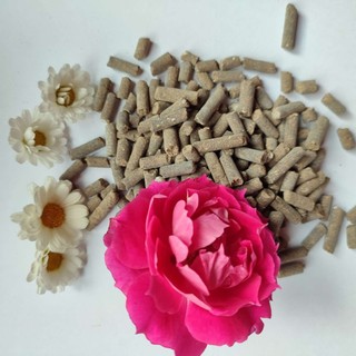 Phân đạm hữu cơ, Phân nở, Hạt phân gà đạm hữu cơ bón cây cảnh, hoa hồng, dâu tây, sen đá