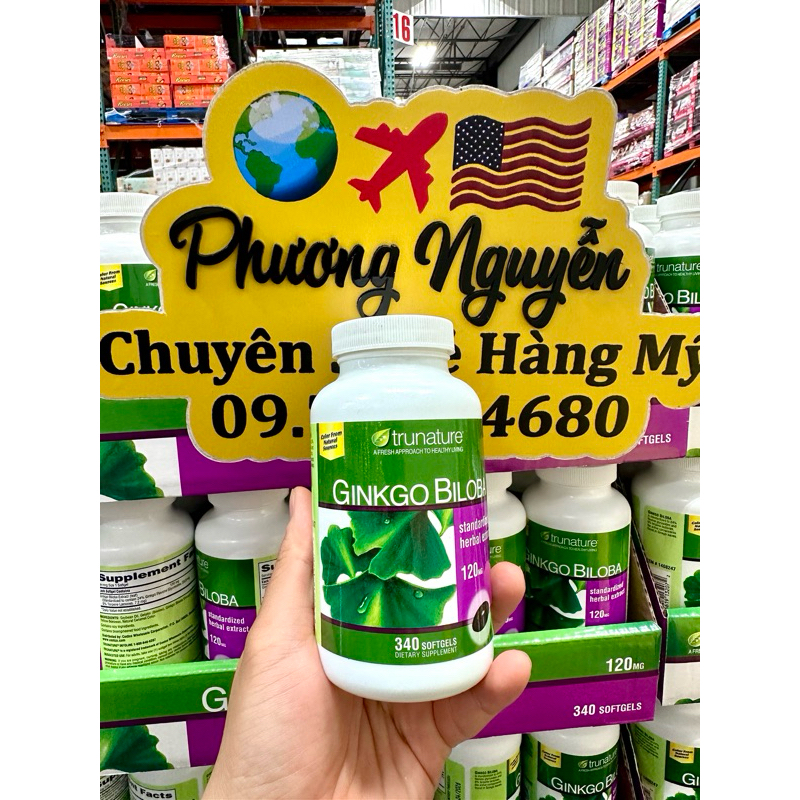 Viên Uống Bổ Não, Tăng Cường Trí Nhớ, Cho Não Khoẻ Mạnh • GINKGO BILOBA