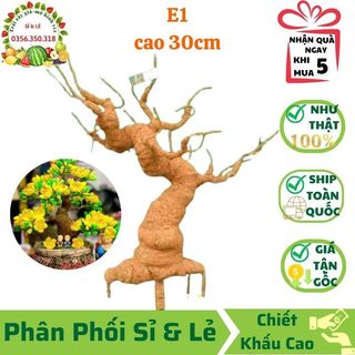 Gốc cây bonsai giả - loại e1 cao 30 cm
