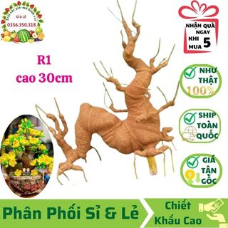 Gốc cây bonsai giả - loại r1 cao 30 cm