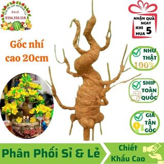 Gốc cây bonsai giả - loại gốc nhí cao 20 cm
