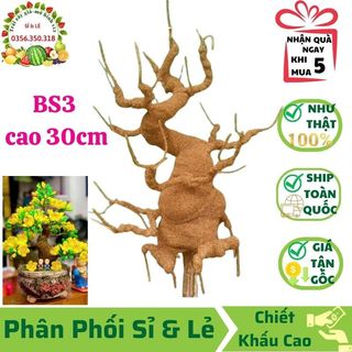 Gốc cây bonsai giả - loại bs3 cao 30cm