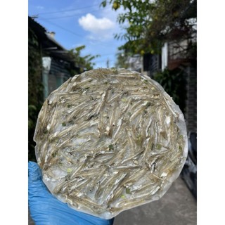 Bánh tráng cá cơm Sông Đốc 1000gr