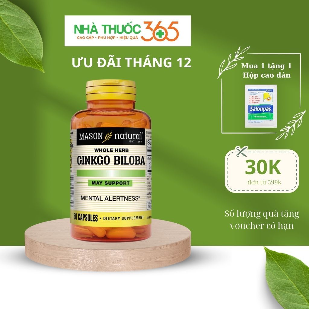 Viên Uống Mason Natural Ginkgo Biloba Hỗ Trợ Chức Năng Bộ Não, Hệ Thần Kinh 60 Viên