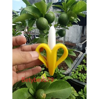 Gặm nướu chuối Mỹ