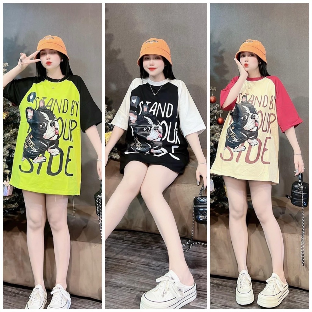 áo thun nữ , áo thun bigsize , áo lẻ , ÁO FROM RỘNG HÌNH CÚN