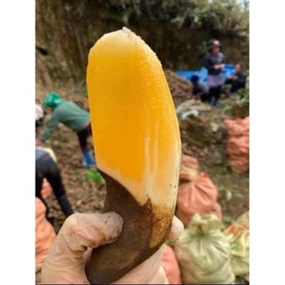 khoai sâm đất (đơn 3kg)